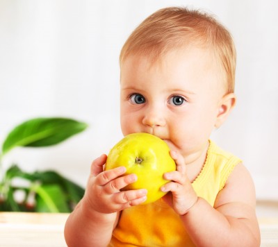child support - Family Law Lawyer Mississauga, Oakville, Brampton, Toronto